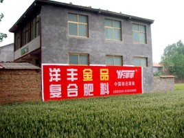 连江县如何让墙体广告展现最大化效果