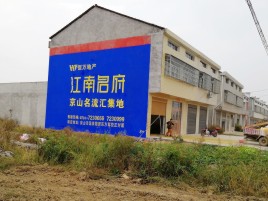 连江县农村墙体广告在不同形式上面展现的不同特色